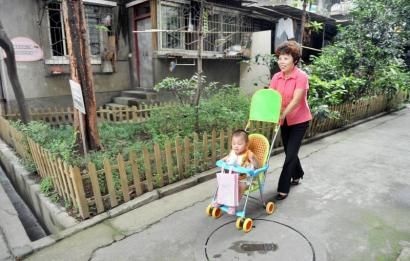 轄區(qū)單位出資，居民們主動(dòng)維護(hù)，同善橋橫街8號(hào)院的綠化越來(lái)越好。